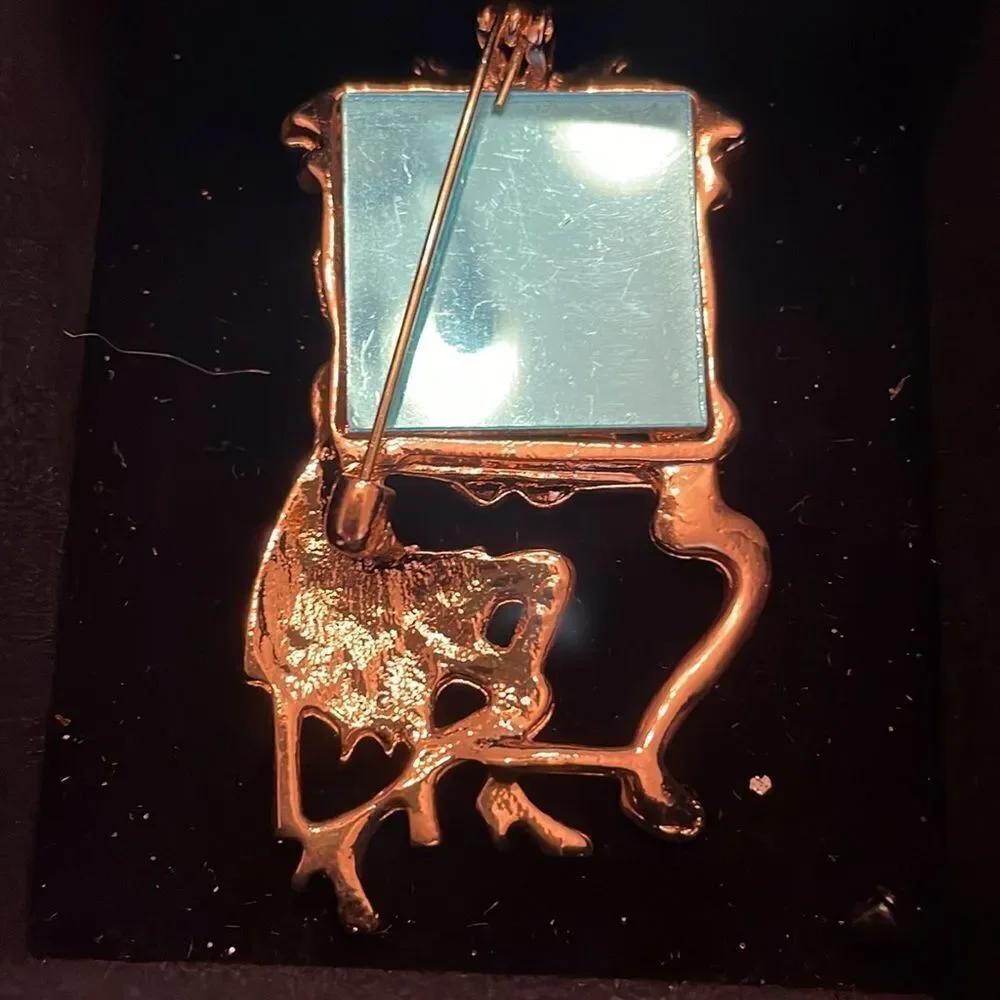 REFLECTION IN MIRROR BROOCH‎